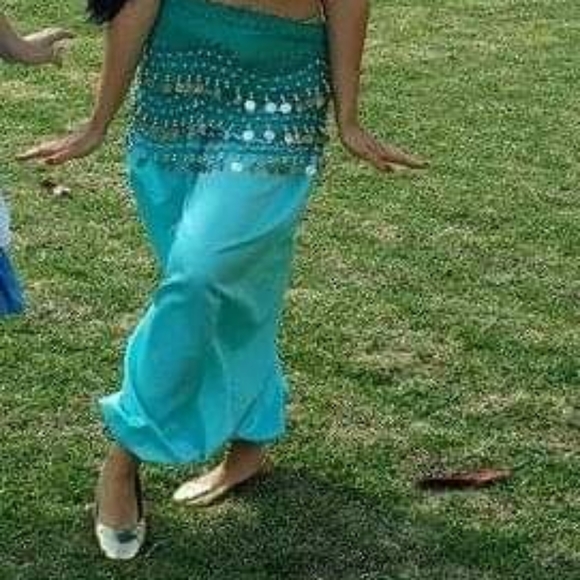 Princess Jasmine Adult Costume Handmade - Picture 2 of 4